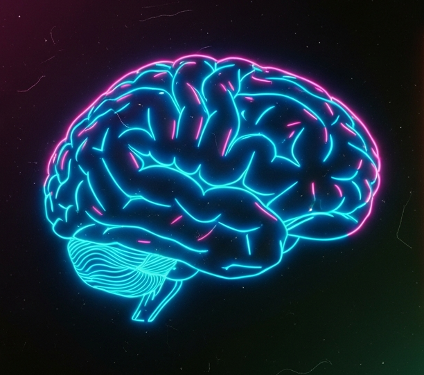 Stylized brain icon